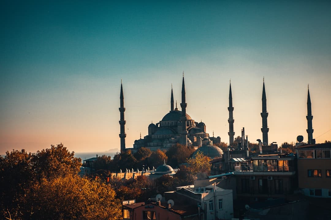 Top Attractions